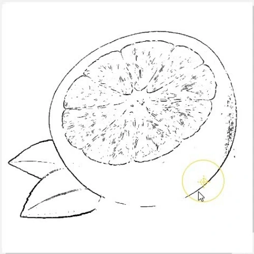 Clone tool lasso demo showing how to add missing parts to sketch of an orange