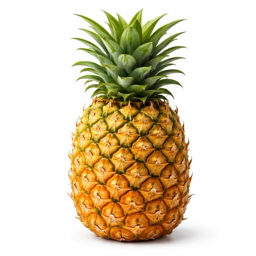 Brighten or Darken Image Online Free Tool demo showing how to create a black sketch of pineapple on gray paper.